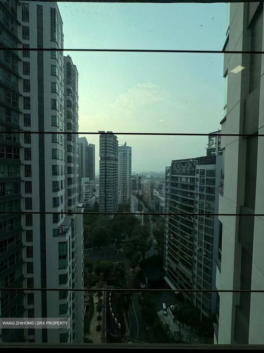 Amaryllis Ville (D11), Condominium #614844601